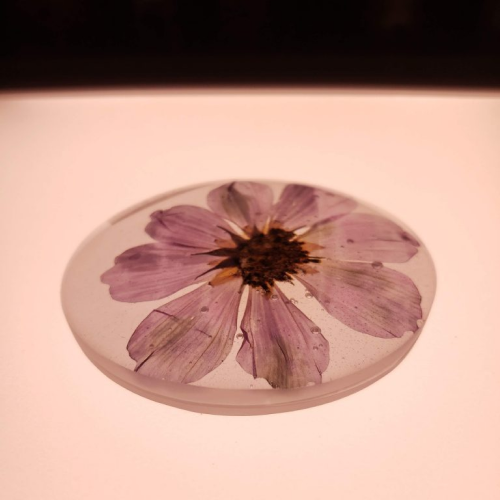 Glass orb with a purple flower inside laying on a pink background 