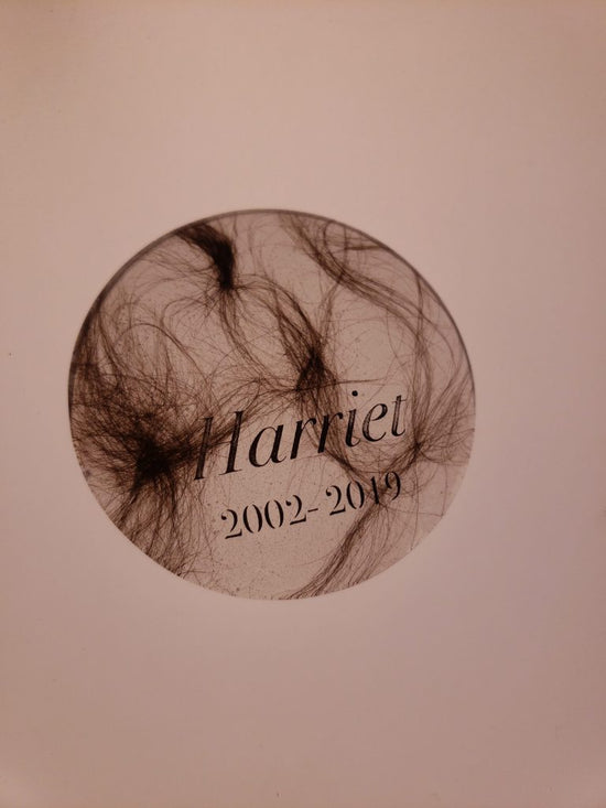 Custom glass pendant containing hair etched with Harriet 2002-2019 