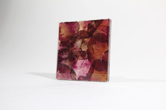 Glass square filled with pink and red petals