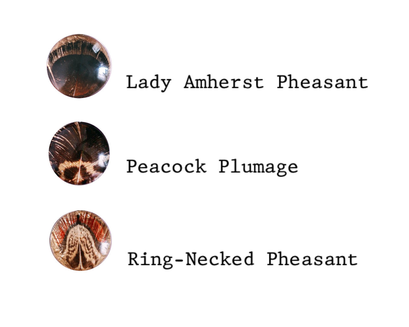 Gilded Pheasant Feather Pendant